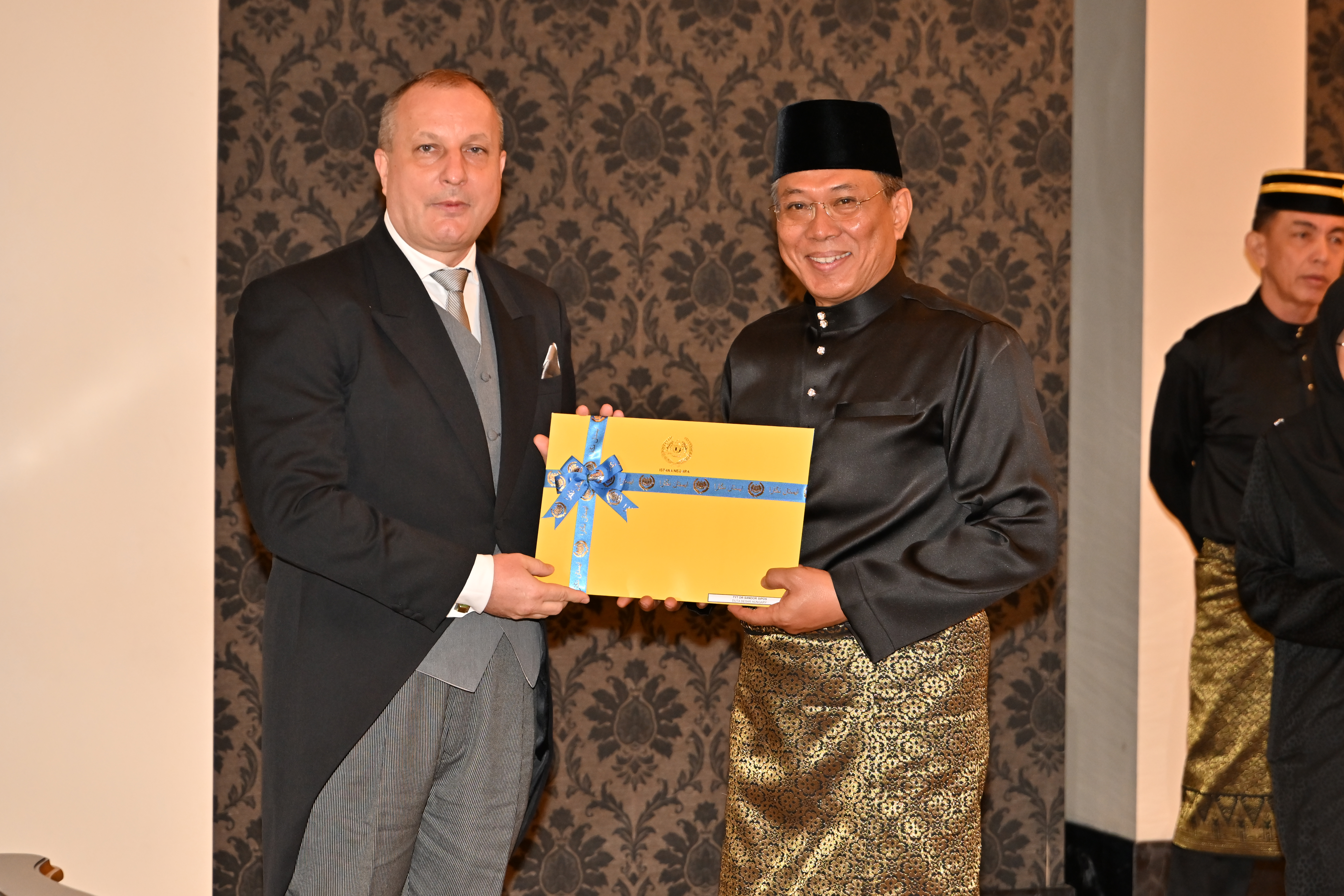 Dr Sandor Sipos comission letter